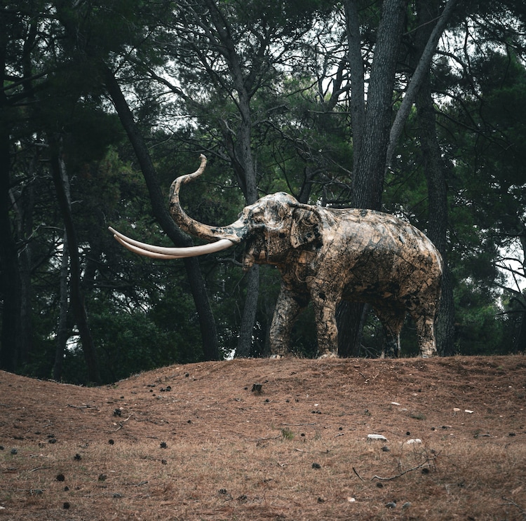 An image of a statue of a mammoth erected in a park. (Photo: Pexels)