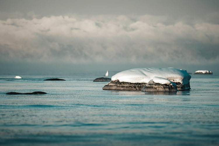 Snow covered rocks are seen in the Arctic Ocean. (Photo: Pexels)