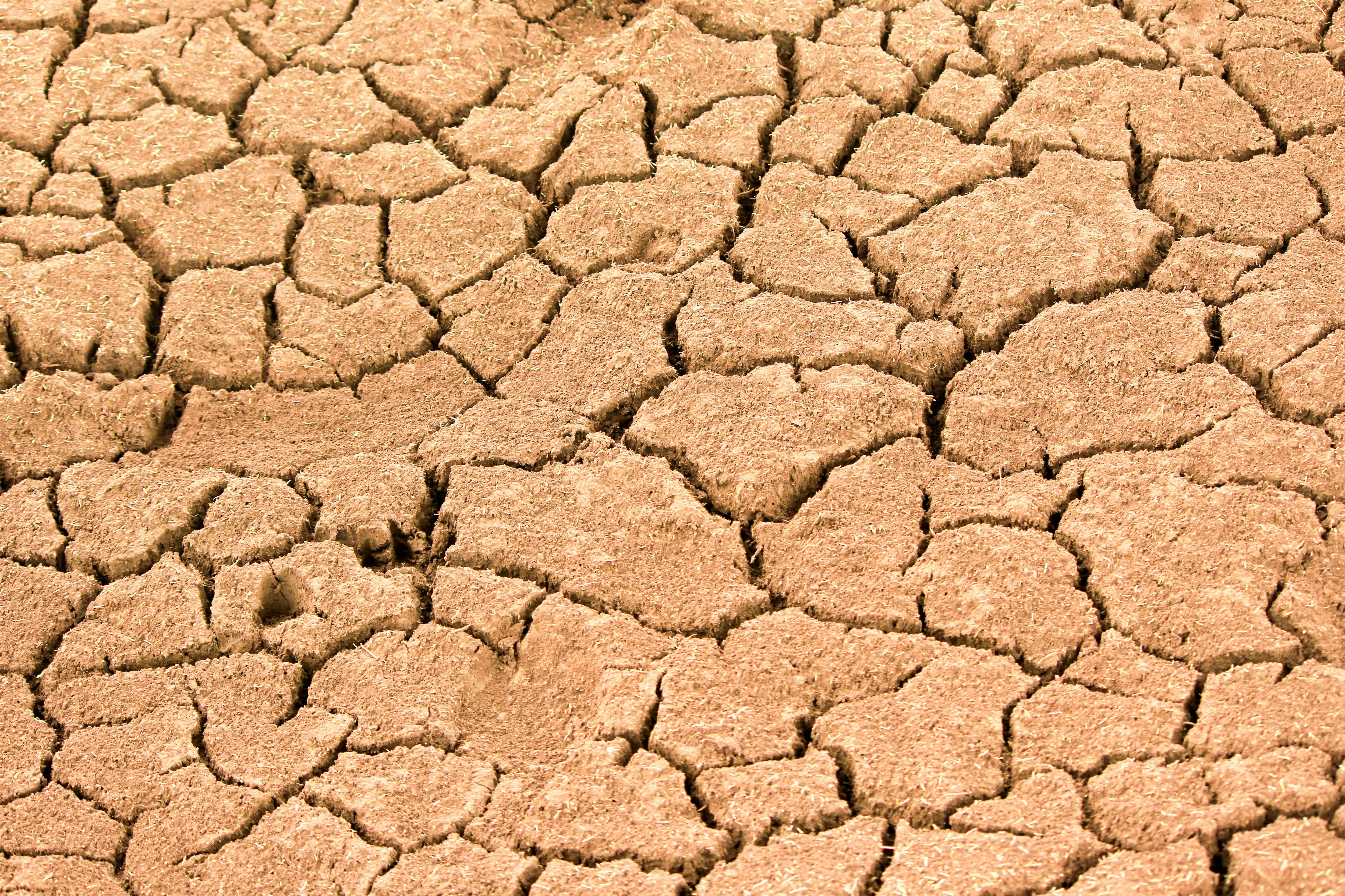Close-up of cracked dry earth showing effects of extreme drought. (Photo: Pexels)