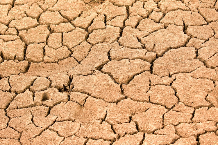 Close-up of cracked dry earth showing effects of extreme drought. (Photo: Pexels)