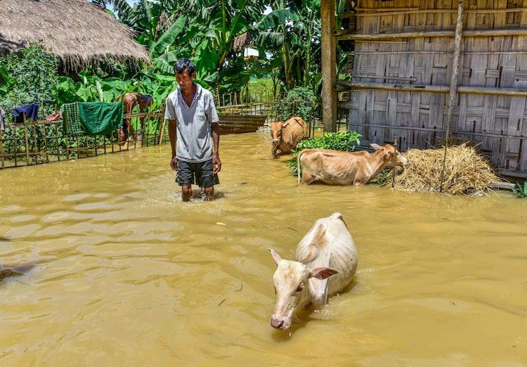 A man wades through flood-affected area after heavy rainfall, in Golaghat, Assam. (Photo: PTI)
