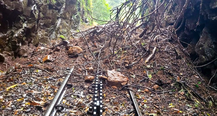 Landslide debris, boulders and fallen trees after heavy rains on the Nilgiri Mountain Railway. (Photo: PTI)