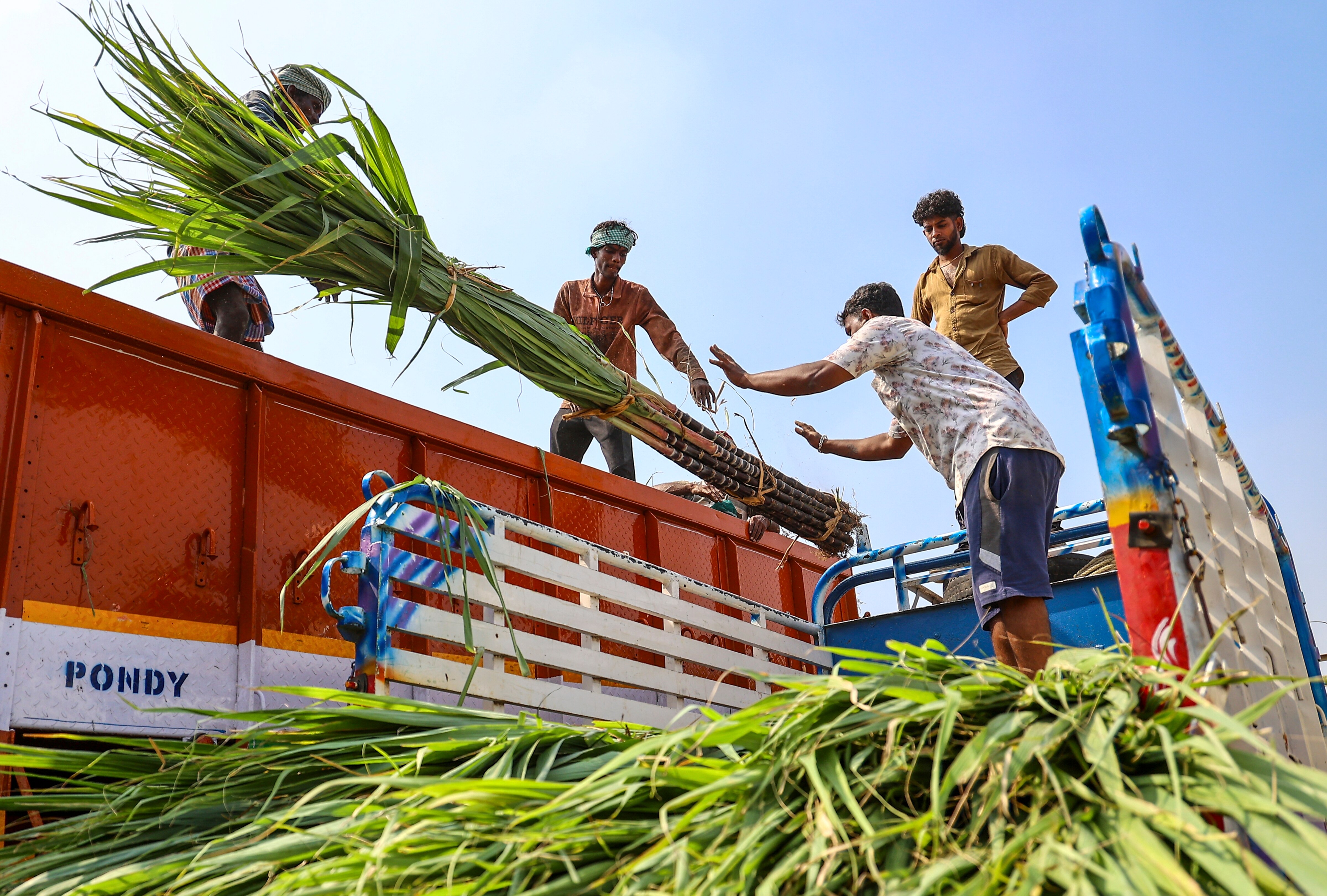 Amid ethanol demands, El Nino to strain India's sugar exports for years -  India Today