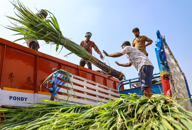 Amid ethanol demands, El Nino to strain India's sugar exports for years - India Today