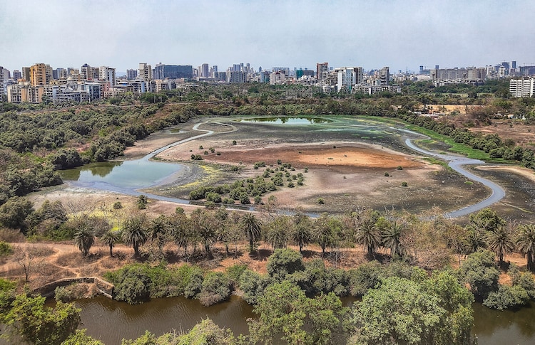 View of a dried-up pond near Navi Mumbai. (Photo: PTI)