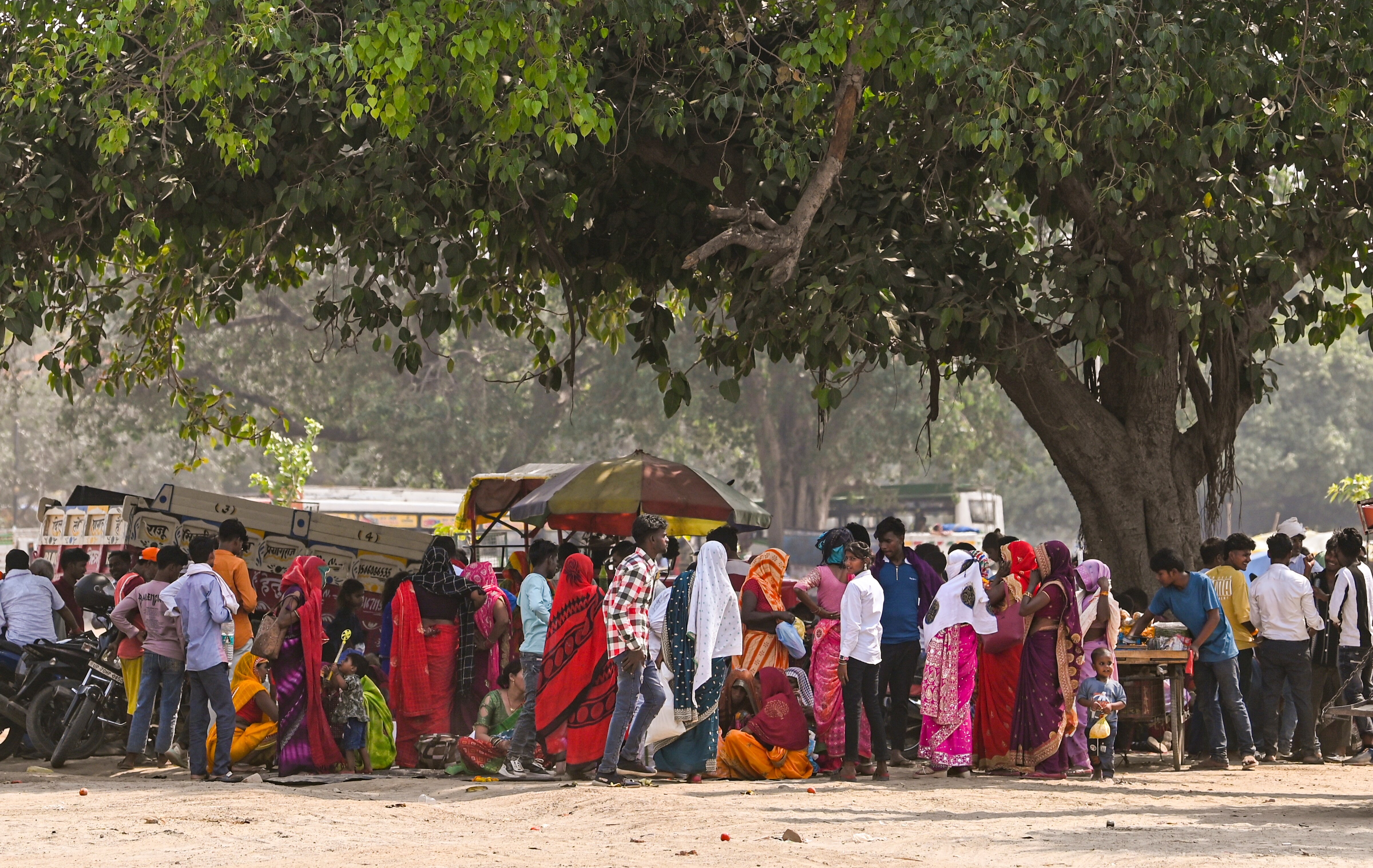 People rest under the shade of a tree on a hot summer day, in Prayagraj. (Photo: PTI)