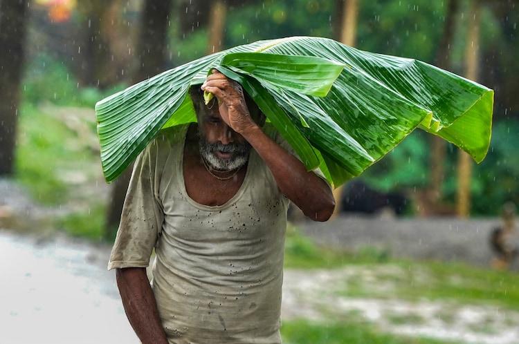 Rain and hail on its way: May to grow more erratic, temperatures to drop A man covers himself amid heavy rainfall, in Morigaon district, Assam. (Photo: PTI)