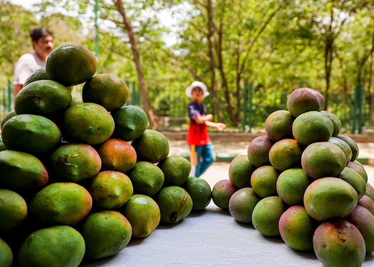 Mangoes at a stall for sale in Bengaluru. (Photo: PTI)