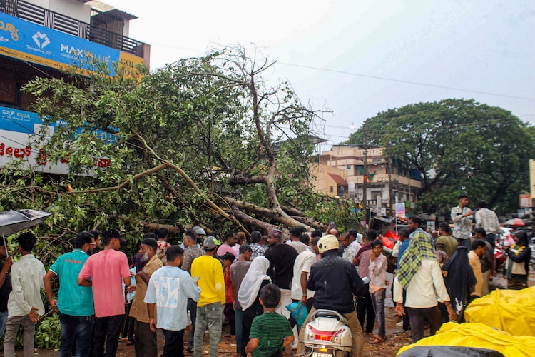 People gather near an autorickshaw damaged after a tree fell on it following heavy rain and gusty winds in Karnataka. (Photo: PTI)