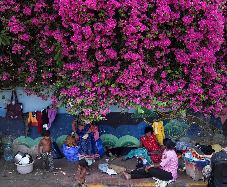 People sit under a tree to find relief from heat during a heatwave. (Photo: PTI)