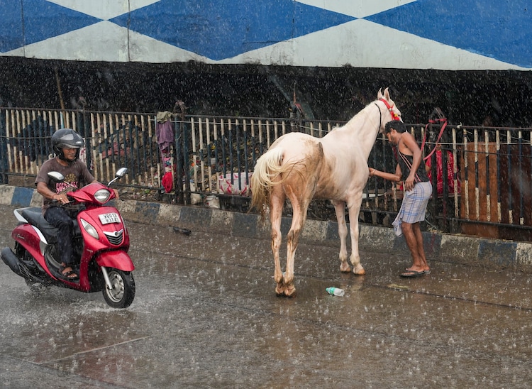A man tends to a horse as a man rides a scooter during rain in Kolkata. (Photo: PTI)