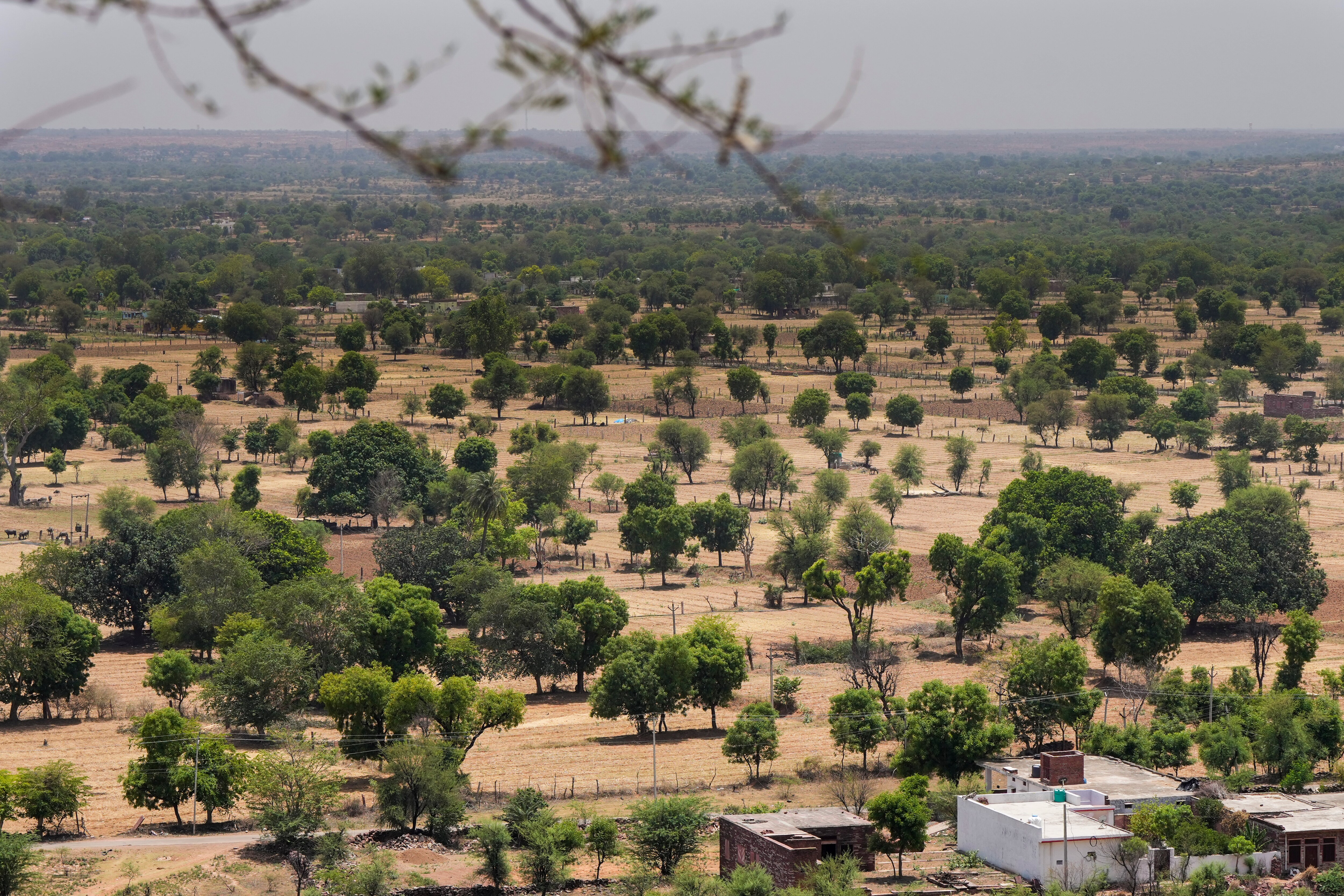 An aerial view of a barren land in Karauli, Rajasthan.(Photo: PTI)