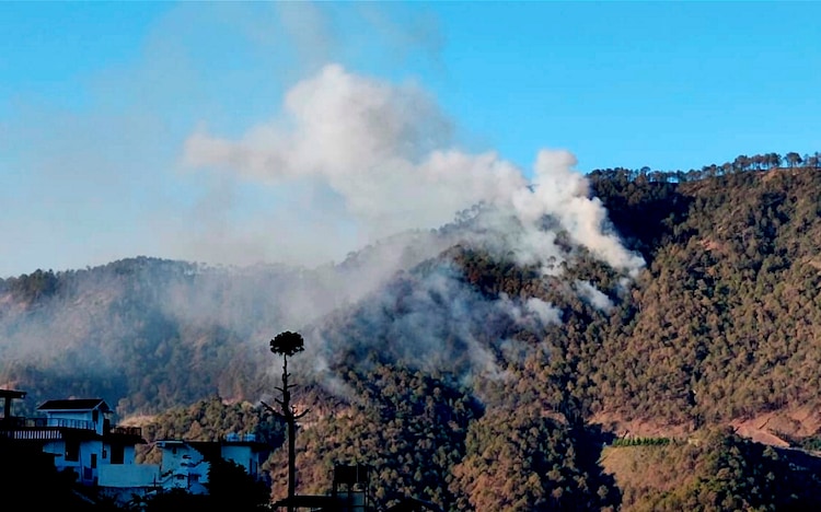 Smoke billows following a forest fire in Kasauli, Himachal Pradesh. (Photo: PTI)