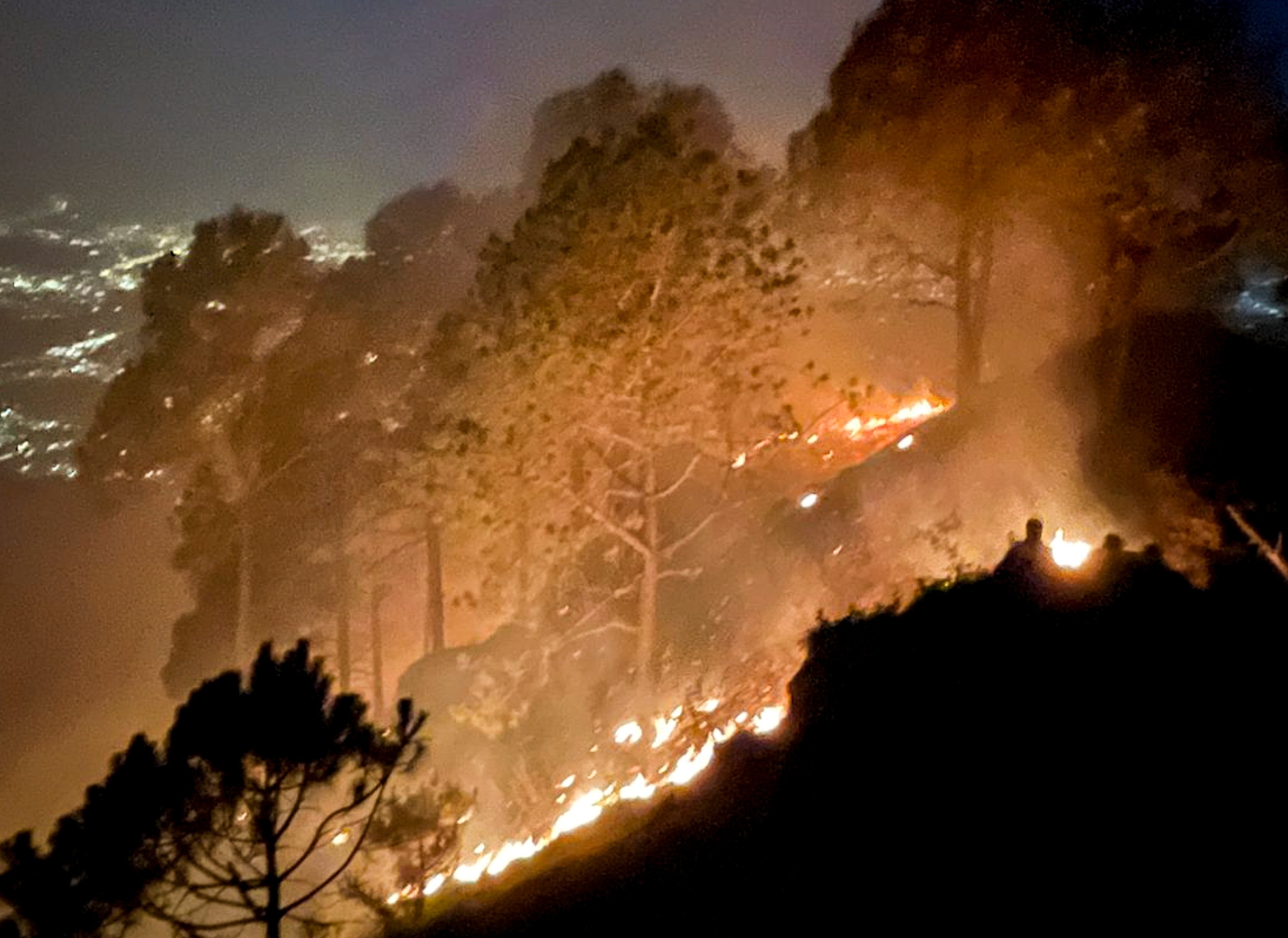 A forest fire rages through the hills, in Kasauli. (Photo: PTI)