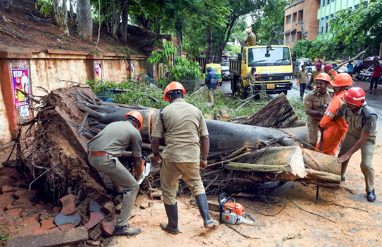 Fire and Rescue Services personnel remove an uprooted tree. (Photo: PTI)