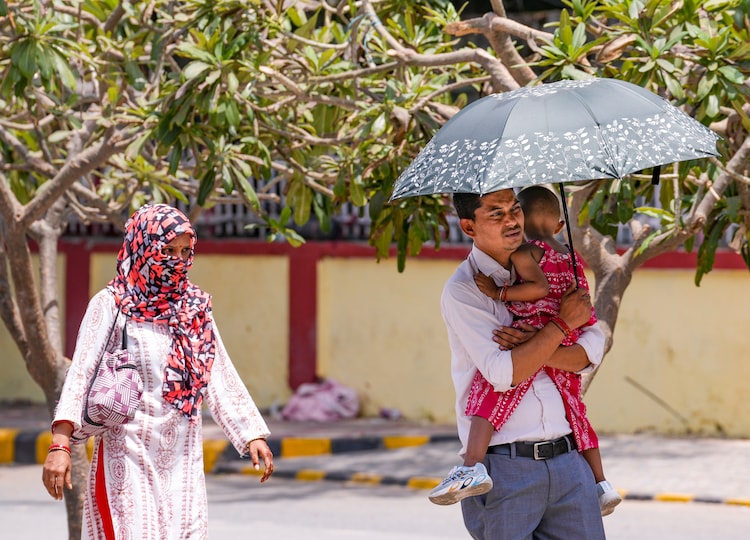People shield themselves from a scorching Sun in Uttar Pradesh. (Photo: PTI)
