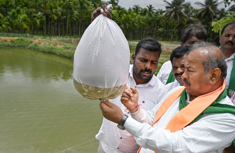 BJP MLA SN Channabasapp during an inspection of the drought-like situation, in Shivamogga, Karnataka. (Photo: PTI)