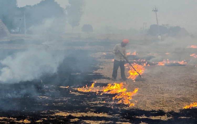 A farmer burns paddy stubble in a field along on the outskirts of Patiala. (Photo: PTI)