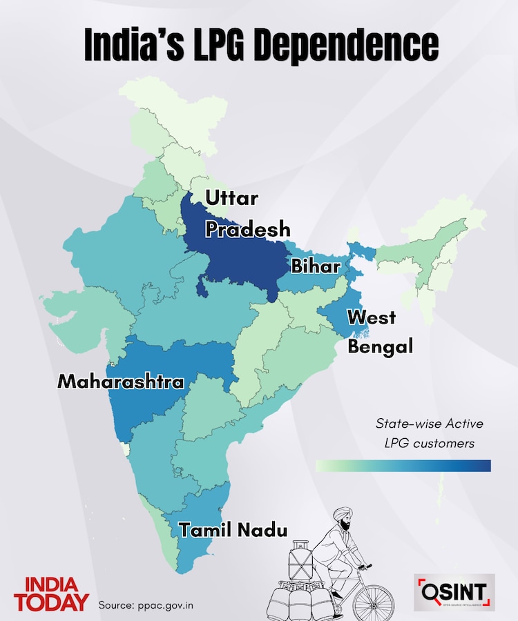 Domestic LPG active users