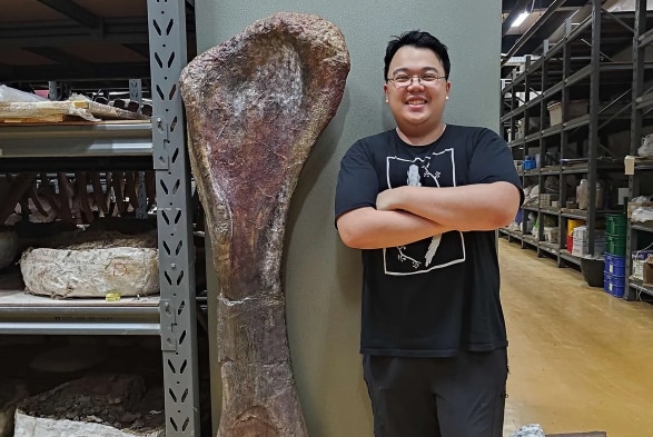 Lead author Thitiwoot Sethapanichsakul stands next to the front leg bone. (Photo: Thitiwoot Sethapanichsakul)