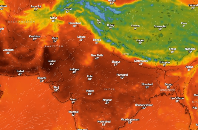 A satellite image showing persistent heat in Delhi-NCR. (Photo: Windy)
