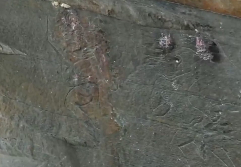 Engraved images are seen at the dicovery site. (Photo: Screengrab)