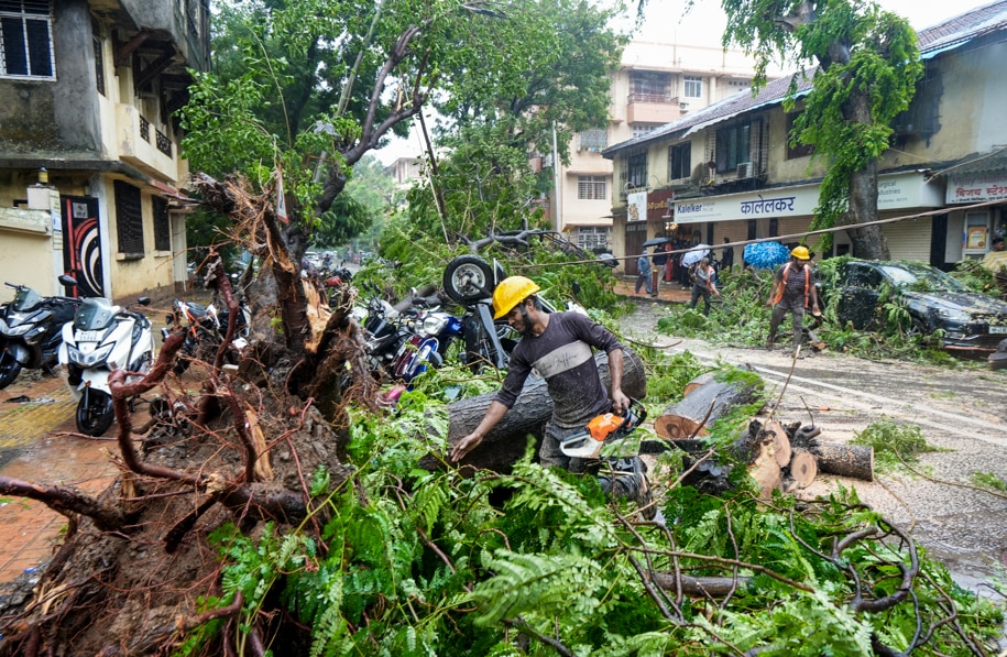 An uprooted tree lies on a road after heavy rainfall and winds, in Mumbai. (Photo: PTI)