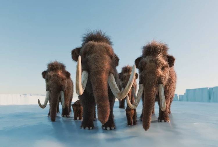 An image of a herd of mammoths. (Photo: Unsplash)