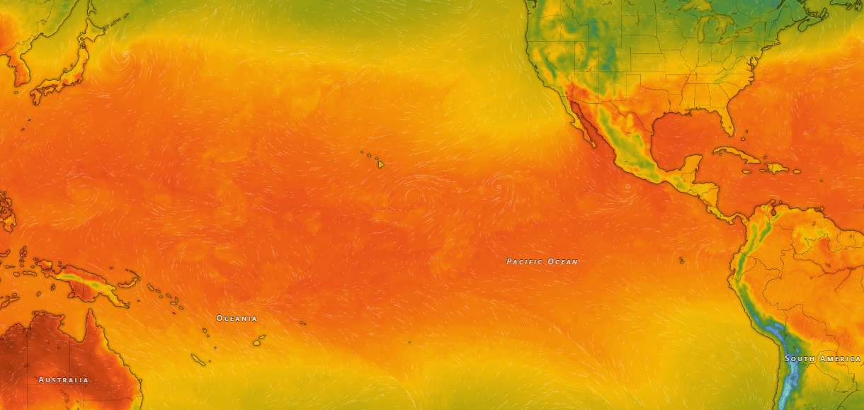 A satellite image of a warming Pacific Ocean due to El Nino. (Photo: Windy)
