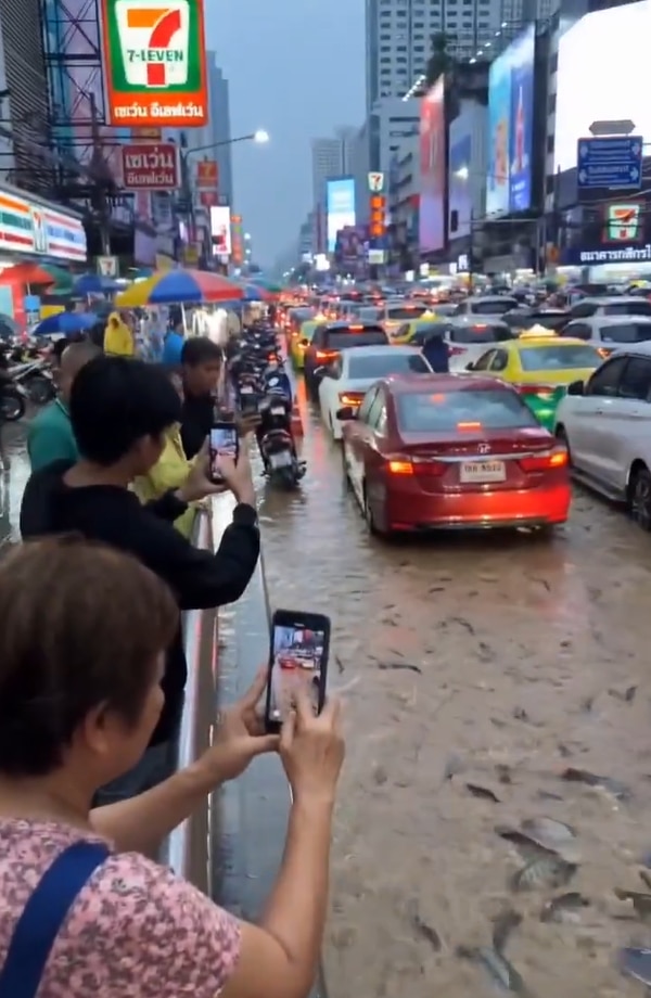 Fact Check: Donât get catfished by AI. This Bangkok flood scene is NOT real