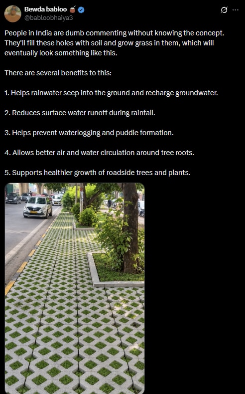 Delhiâs hole-filled footpath left people baffled. Hereâs how itâs meant to look like