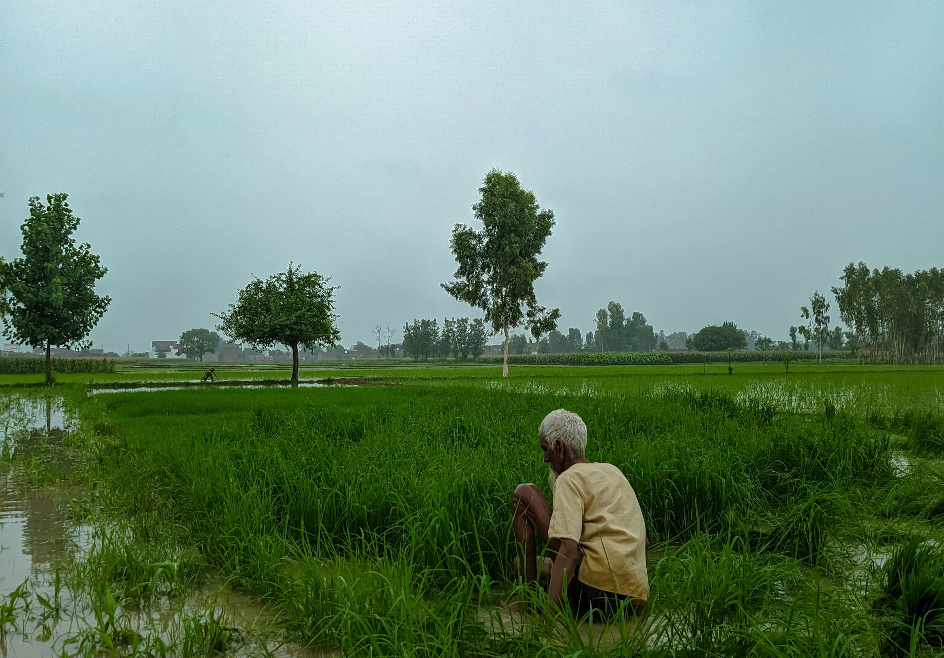 A man checks his crop as rain prepares to arrive. (Photo: Unsplash)