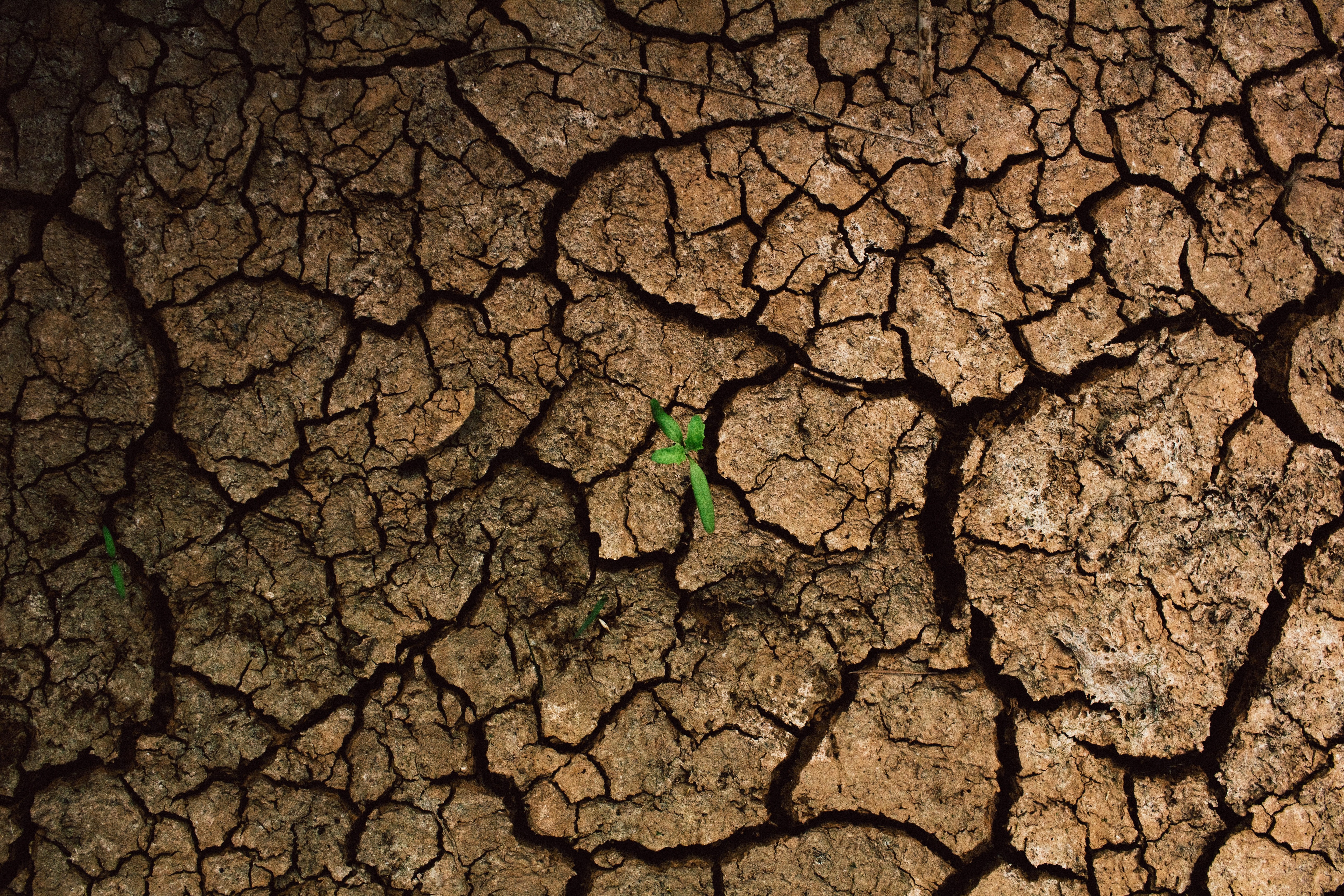 An image of dried land during a drought. (Photo: Unsplash)