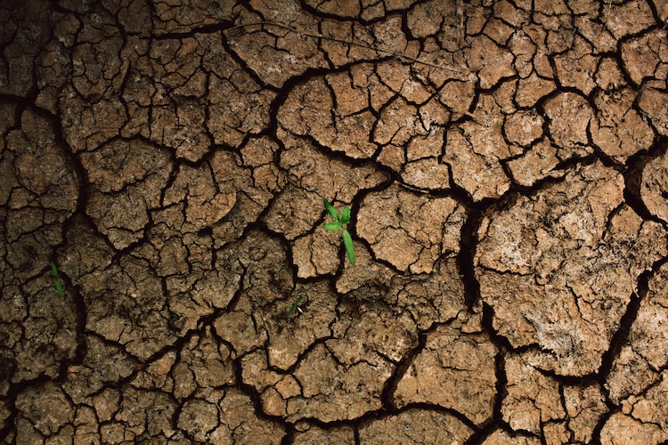 An image of dried land during a drought. (Photo: Unsplash)