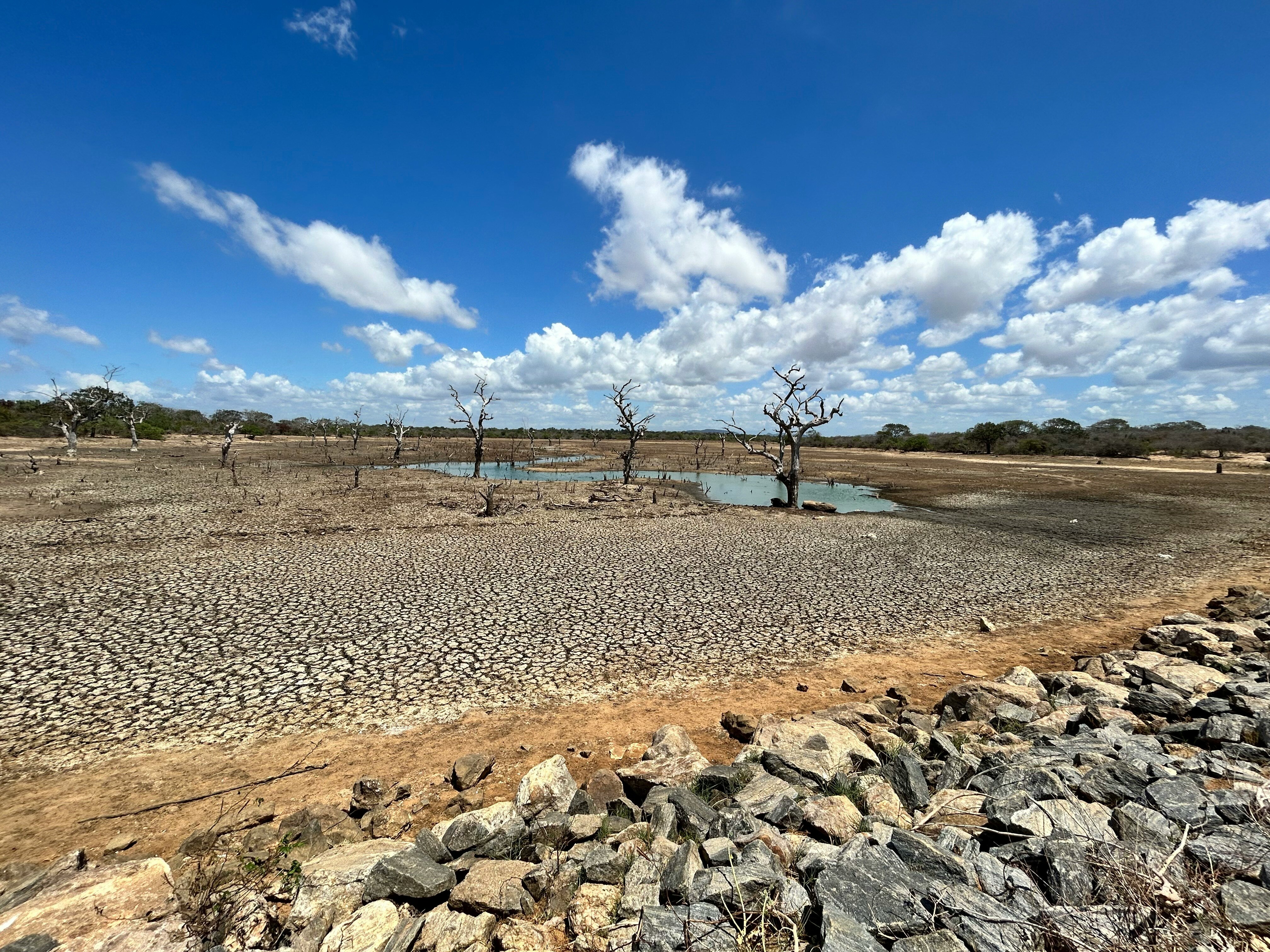 An image of a dried up lake, illustrating impacts of El Nino. (Photo: Unsplash)