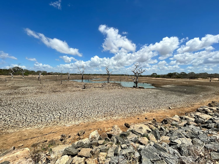 An image of a dried up lake, illustrating impacts of El Nino. (Photo: Unsplash)