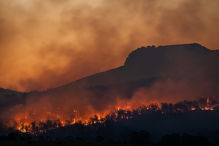 A bushfire in Australia is pictured as flames rise. (Photo: Unsplash)