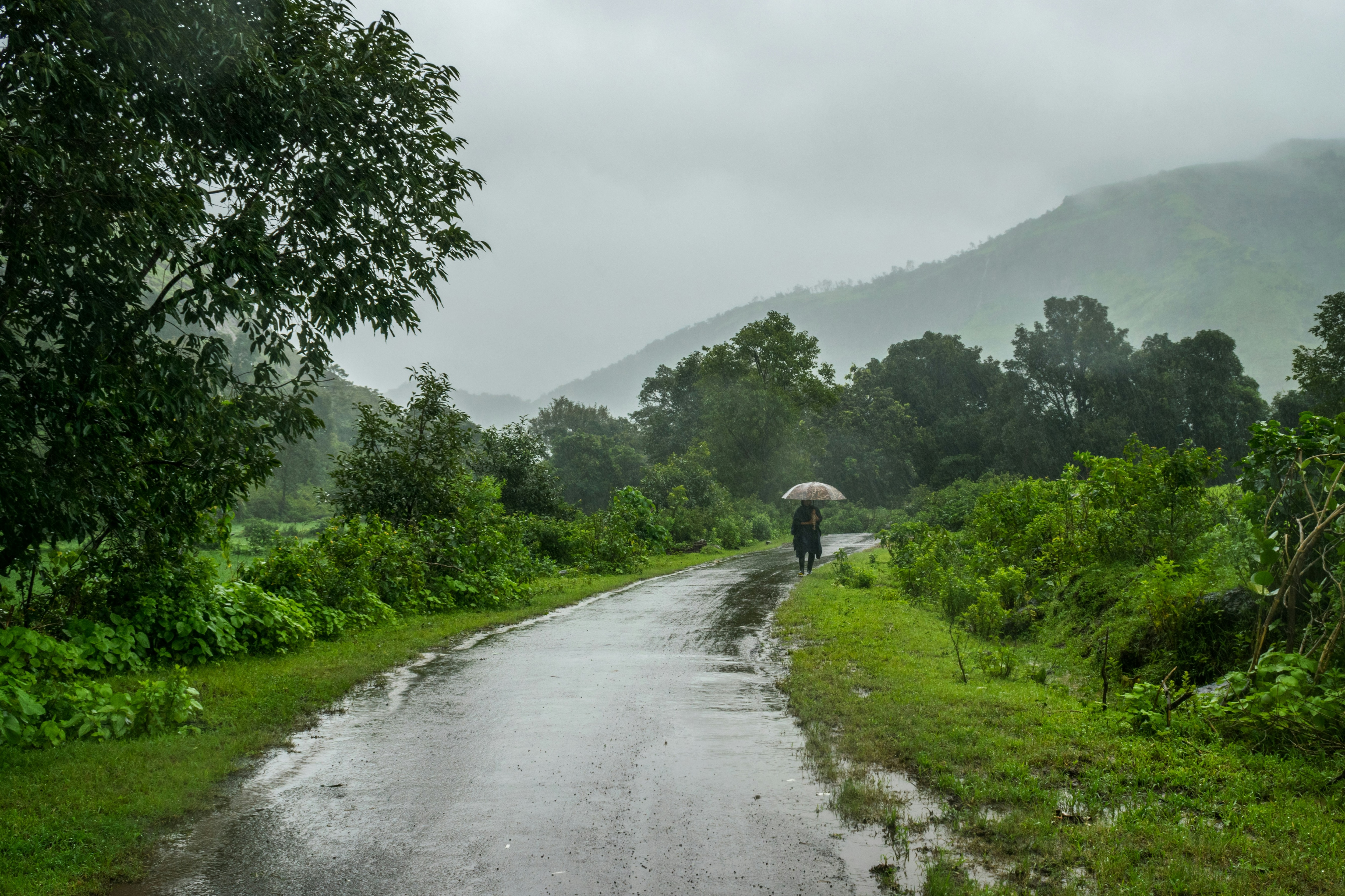 A man walks during a rain shower in Malshej Ghat, Maharashtra. (Photo: Unsplash)