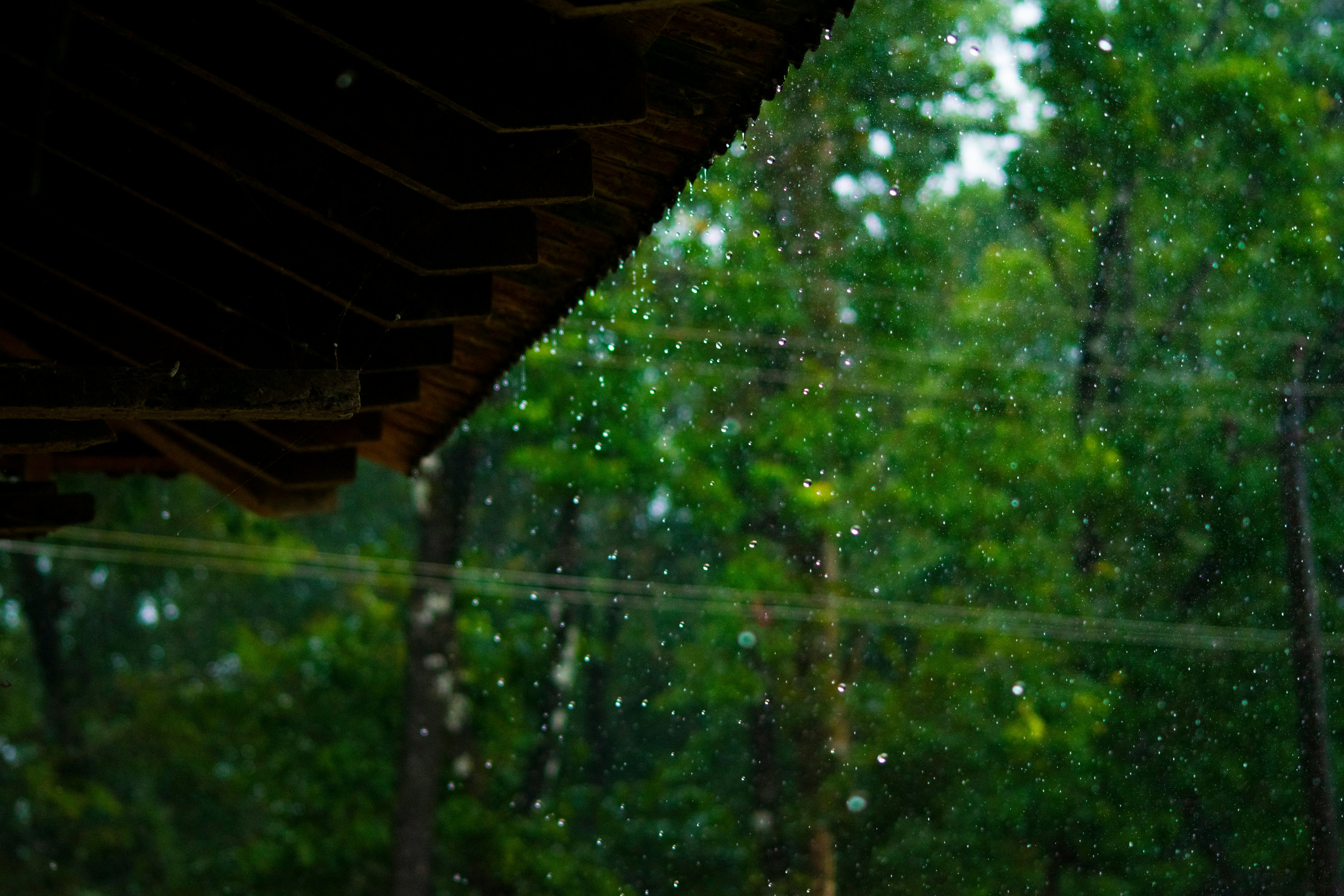 An image showing rain falling on the roof of a house. (Photo: Unsplash)