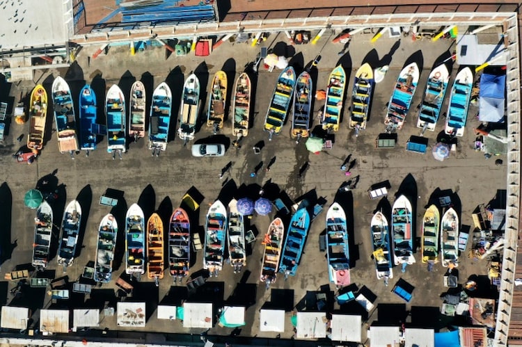 The deal bans subsidies to any vessel or operator engaged in illegal, unreported and unregulated (IUU) fishing, or the fishing of overexploited stocks