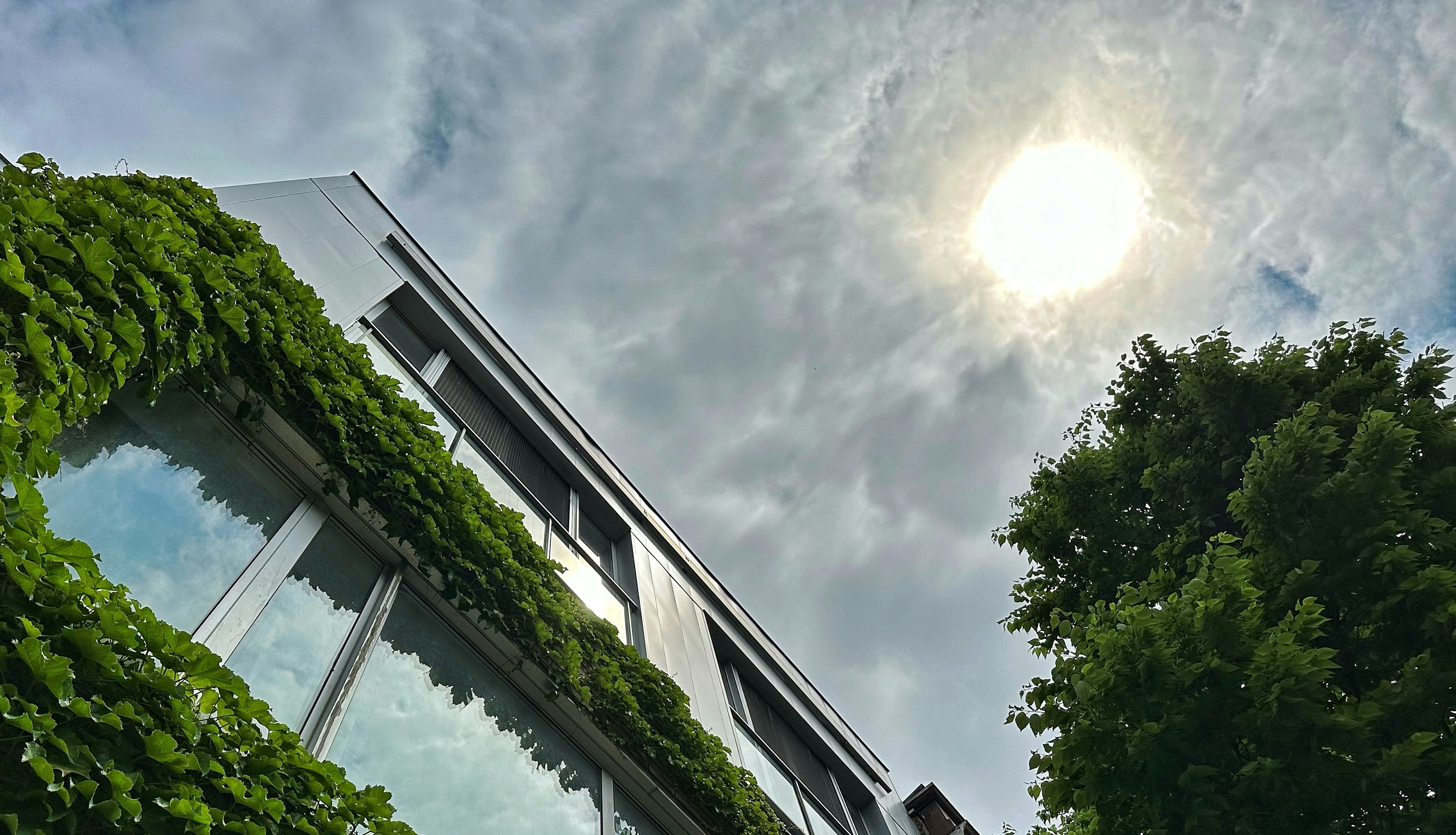An image showing a building covered in green vegetation as a solution for extreme heat. (Photo: Unsplash)
