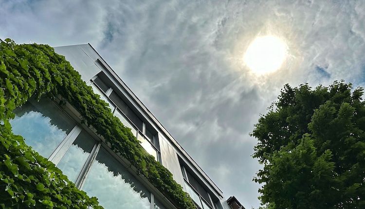 An image showing a building covered in green vegetation as a solution for extreme heat. (Photo: Unsplash)