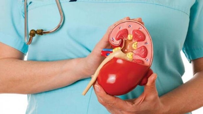 Maharashtra government writes to Center, seeks investigation in inter ...