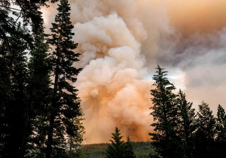 us west, california wildfire, dixie fire, us fire damage, us wildfire photos