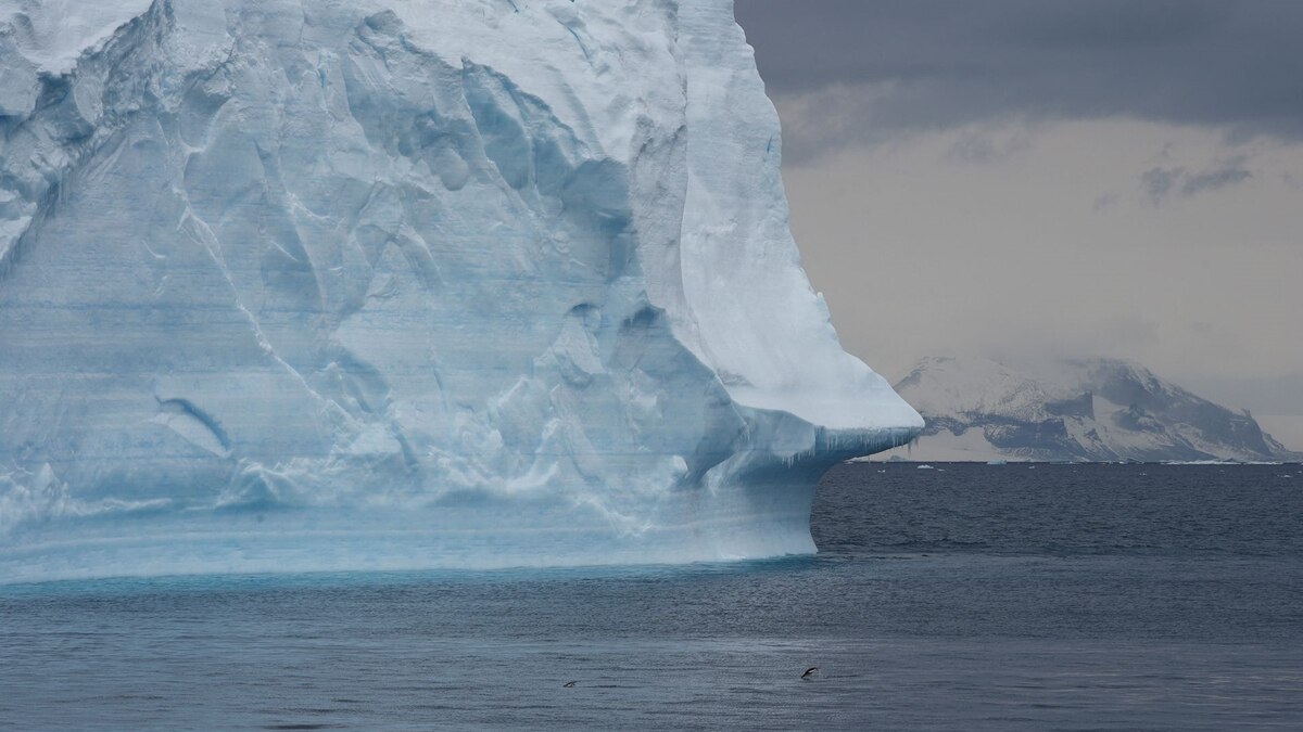 Antarctica