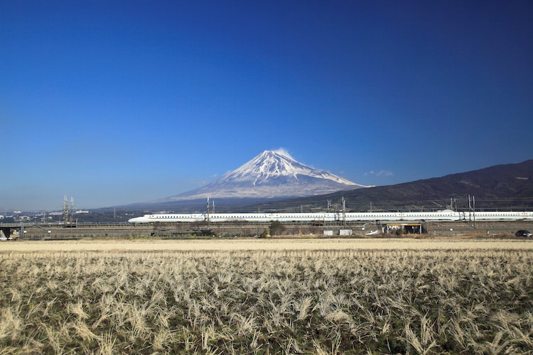 The Shinkansen is Japan's world-famous bullet trains. Photo: Getty Images