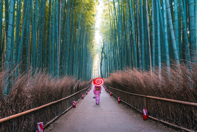 Arashiyama Bamboo Grove in Kyoto. Photo: Getty Images