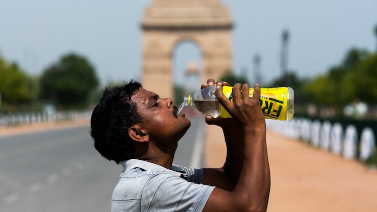 Drinking water at short intervals is more effective than drinking large quantities of water frequently. (Photo: PTI)
