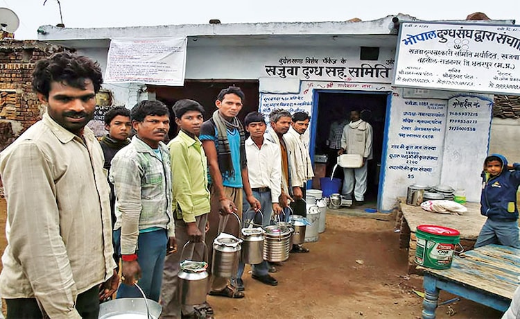 Madhya Pradesh milk cooperatives | Not so utterly butterly 8 mp