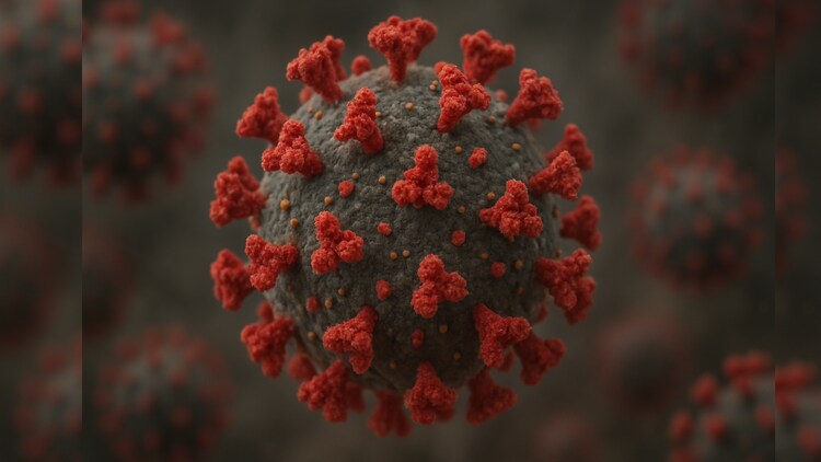 Current increase in cases is due to a sub-variant of Omikron, known as JN.1. (Photo: Liberal AI)
